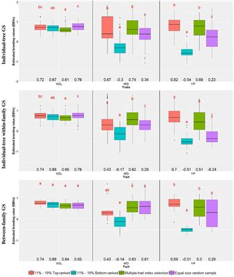 Genomic selection in forest trees comes to life: unraveling its potential in an advanced four-generation Eucalyptus grandis population